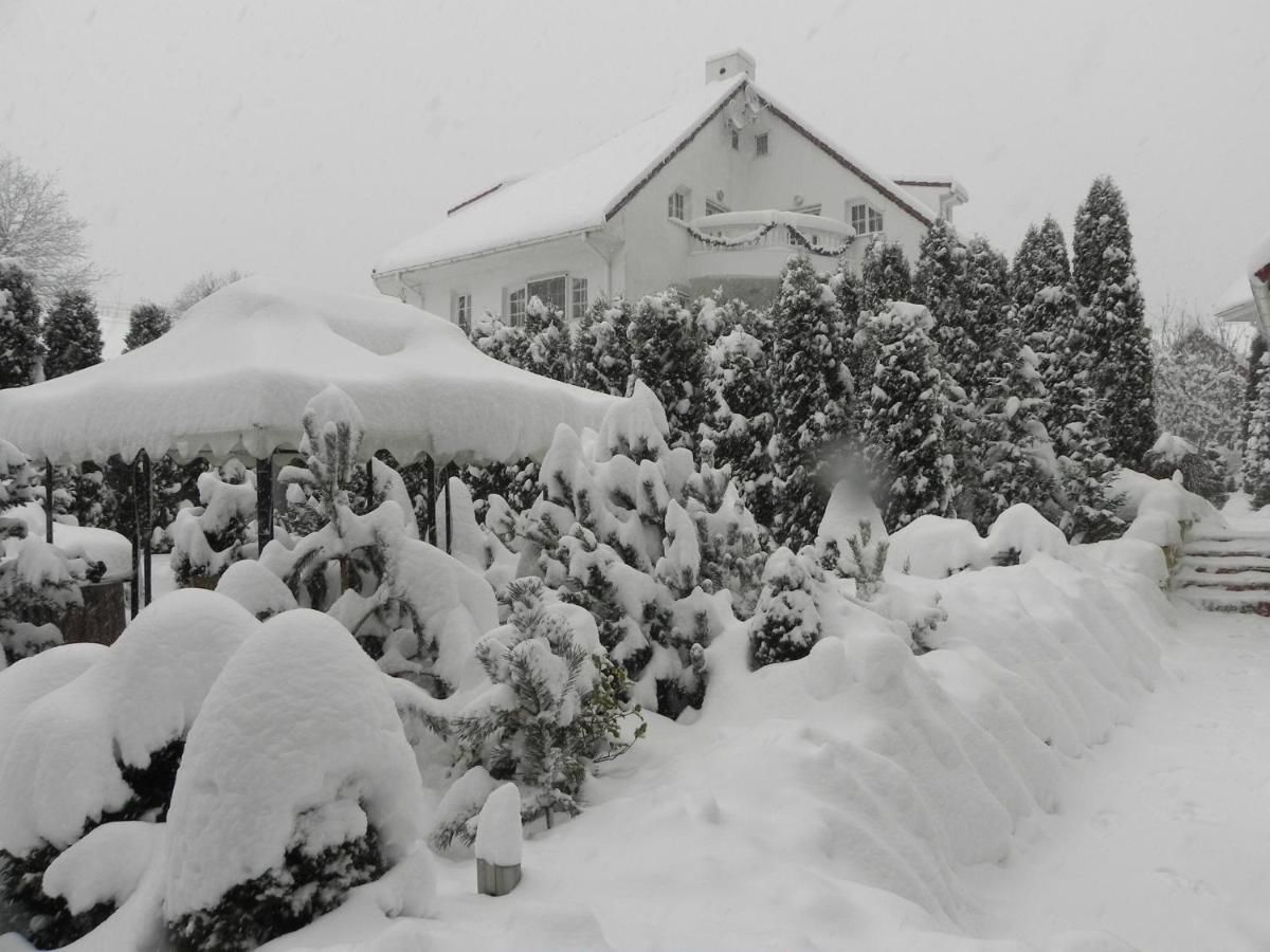 Виллы Boutique Hotel Club-Austria Буштени-4
